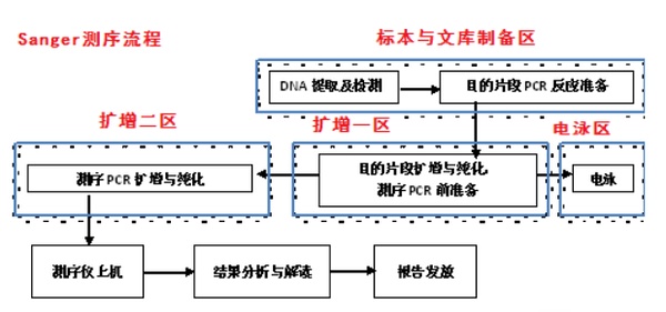 遗传病诊断+肿瘤诊断与治疗测序流程